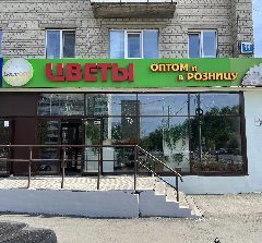 Канал Клумба магазин Цветы в мессенджере MAX — 390 подписчиков