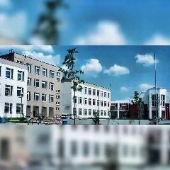 Канал МАОУ гимназия №176 г. Екатеринбург в мессенджере MAX — 1 609 подписчиков