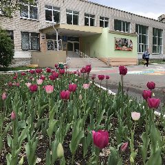 Канал МАОУ СОШ с УИОП № 53 в мессенджере MAX — 1 365 подписчиков