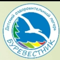Канал МАУ ДОЛ "Буревестник" в мессенджере MAX — 149 подписчиков