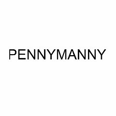 Канал PENNYMANNY.STORE в мессенджере MAX — 53 подписчика