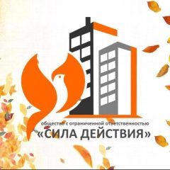Канал ООО "Сила Действия" в мессенджере MAX — 19 подписчиков