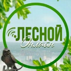 Канал Лесной ONLINE в мессенджере MAX — 518 подписчиков