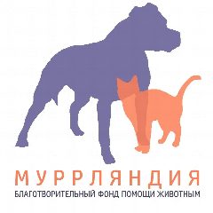 Канал БФПЖ "Муррляндия" г. Первоуральск в мессенджере MAX — 46 подписчиков