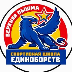Канал Спортивная школа единоборств в мессенджере MAX — 237 подписчиков