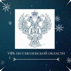 Канал УФК по Смоленской области в мессенджере MAX — 216 подписчиков