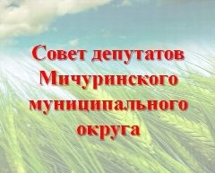 Канал Совет депутатов Мичуринского МО в мессенджере MAX — 41 подписчик