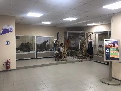 Канал Жердевский народный краеведческий музей в мессенджере MAX — 36 подписчиков