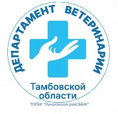 Канал ТОГБУ "Пичаевская райСББЖ" в мессенджере MAX — 12 подписчиков