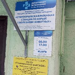 Канал ТОГБУ "Староюрьевская райСББЖ" в мессенджере MAX — 64 подписчика