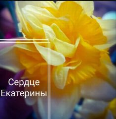 Канал Myfavoriteflowers Цветочный мастер "Сердце Екатерины" Растениеводство в мессенджере MAX — 45 подписчиков