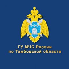 Канал МЧС Тамбовской области в мессенджере MAX — 1 155 подписчиков