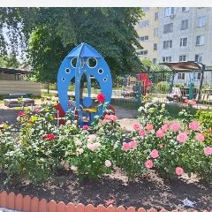 Канал МБДОУ "Детский сад №12 "Звездный " в мессенджере MAX — 135 подписчиков