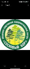 Канал Оборонно-спортивный оздоровительный лагерь «Сосновый бор» в мессенджере MAX — 142 подписчика