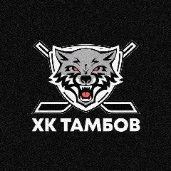 Канал ХК "Тамбов" в мессенджере MAX — 1 023 подписчика
