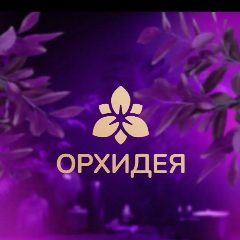 Канал Орхидея - доставка свежих цветов в Твери в мессенджере MAX — 48 подписчиков