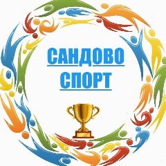 Канал МБУ ДО Спортивная школа п. Сандово в мессенджере MAX — 143 подписчика