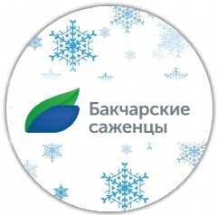 Канал Бакчарские саженцы | АО "Бакчарское" | Жимолость в мессенджере MAX — 808 подписчиков