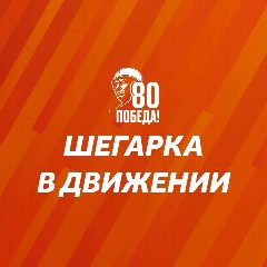 Канал Шегарка в движении в мессенджере MAX — 13 подписчиков