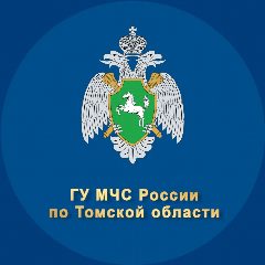 Канал ГУ МЧС России по Томской области в мессенджере MAX — 1 950 подписчиков