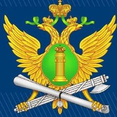 Канал УФССП России по Томской области в мессенджере MAX — 446 подписчиков