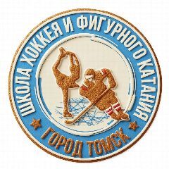 Канал Спортивная школа хоккея и фигурного катания города Томска в мессенджере MAX — 194 подписчика