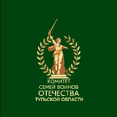 Канал КСВО Тульской области в мессенджере MAX — 615 подписчиков