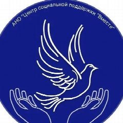 Канал АНО"ВМЕСТЕ" в мессенджере MAX — 118 подписчиков