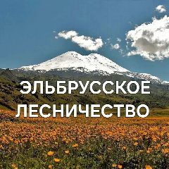 Канал ГКУ "Эльбрусское лесничество" в мессенджере MAX — 10 подписчиков