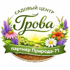 Канал Канал Садовый центр Грова в мессенджере MAX — 26 подписчиков