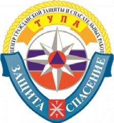 Канал ЕДДС г. Тулы в мессенджере MAX — 17 подписчиков
