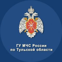 Канал МЧС Тульской области в мессенджере MAX — 1 646 подписчиков