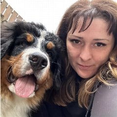 Канал Ольга Многодетные Сад Дом Погодки Спаниель Зенненхунд в мессенджере MAX — 45 подписчиков
