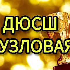 Канал МБУДО ДЮСШ в мессенджере MAX — 12 подписчиков