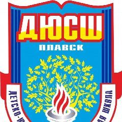 Канал МБУ ДО МО Плавский район "ДЮСШ" в мессенджере MAX — 144 подписчика