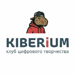 Канал KIBERiUM - клуб цифрового творчества в мессенджере MAX — 10 подписчиков