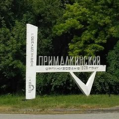 Канал Местная администрация  сельского поселения Янтарного в мессенджере MAX — 131 подписчик