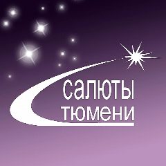 Канал Салюты Тюмени. Фейерверки на свадьбу в мессенджере MAX — 22 подписчика