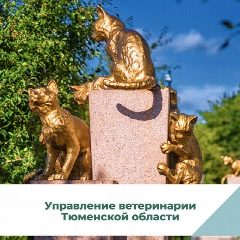 Канал Управление ветеринарии Тюменской области в мессенджере MAX — 327 подписчиков