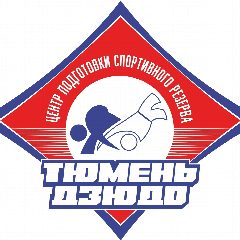 Канал «ЦПСР «Тюмень-дзюдо» в мессенджере MAX — 352 подписчика