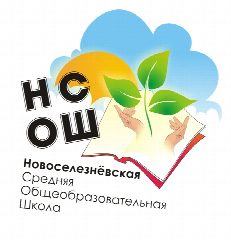 Канал МАОУ Новоселезневская СОШ в мессенджере MAX — 768 подписчиков