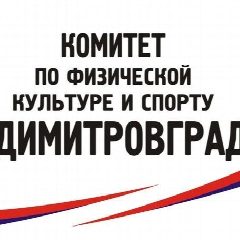 Канал Комитет по физической культуре и спорту Администрации города Димитровграда в мессенджере MAX — 40 подписчиков