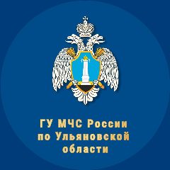 Канал МЧС Ульяновской области в мессенджере MAX — 2 220 подписчиков