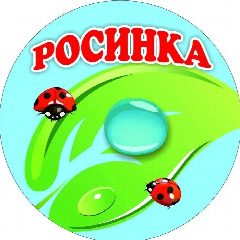 Канал МБДОУ № 166 "Росинка" в мессенджере MAX — 108 подписчиков