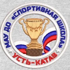 Канал Спортивная школа Усть-Катав в мессенджере MAX — 292 подписчика