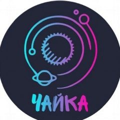 Канал МУ ДЗОЛ «Чайка» Чебаруль в мессенджере MAX — 610 подписчиков