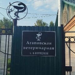 Канал ОГБУ Агаповская ветстанция в мессенджере MAX — 23 подписчика