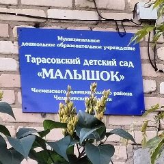 Канал МДОУ "Тарасовский детский сад "Малышок" в мессенджере MAX — 41 подписчик