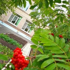Канал Детский сад 12 Магнитогорск в мессенджере MAX — 37 подписчиков