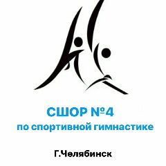 Канал СШОР №4 по спортивной гимнастике в мессенджере MAX — 325 подписчиков